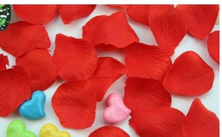 無(wú)紡布花瓣